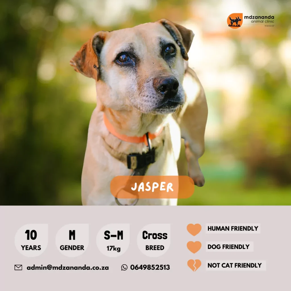 jasper-6627b2ac0c1bf