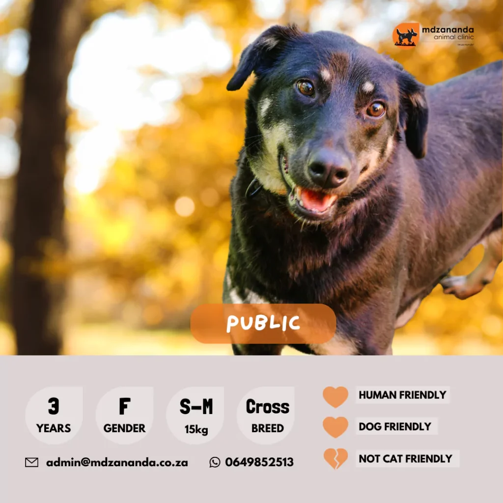 public-6627b2da14e0e